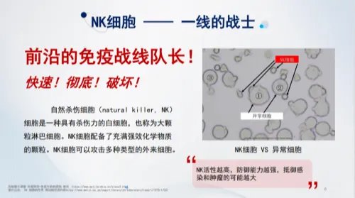 保加利亚乳杆菌OLL1073R-1:特殊时期助力健康,不惧生活挑战