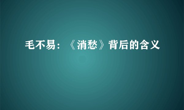 毛不易：《消愁》背后的含义