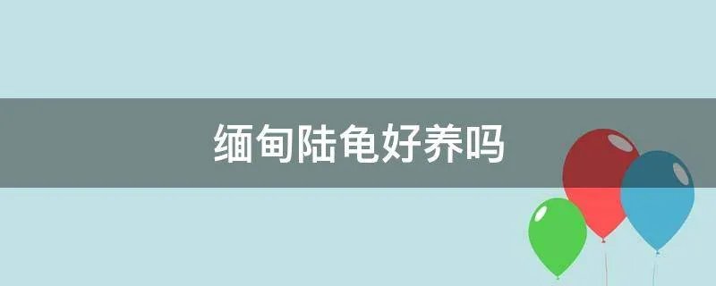 缅甸陆龟好养吗
