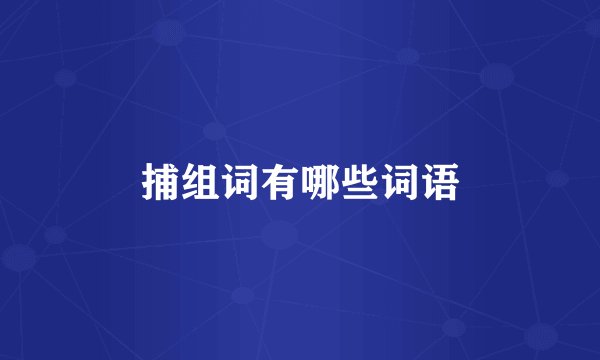 捕组词有哪些词语