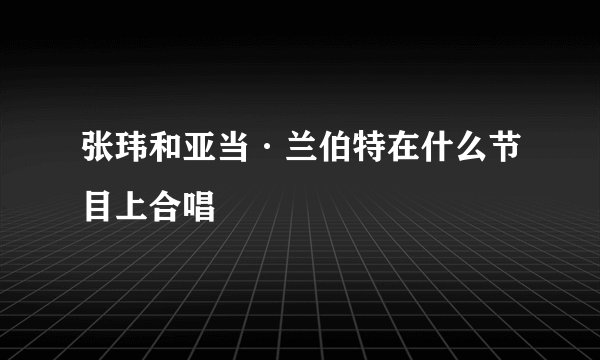 张玮和亚当·兰伯特在什么节目上合唱