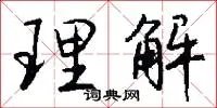 理解