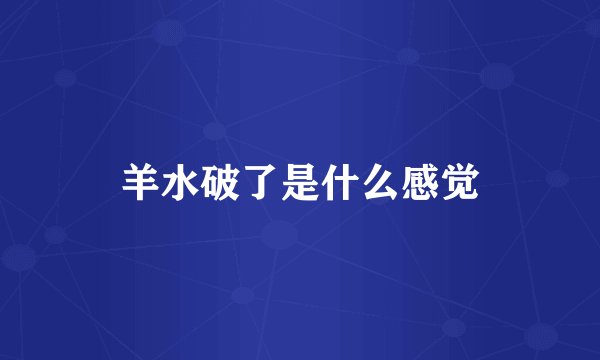 羊水破了是什么感觉