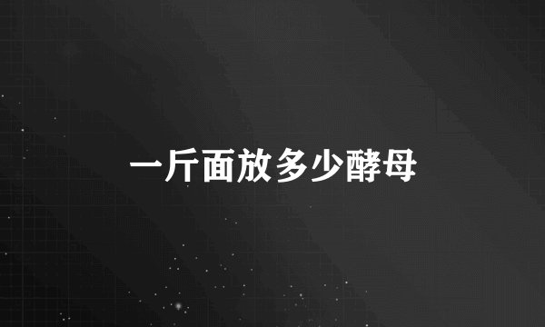 一斤面放多少酵母