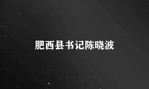 肥西县书记陈晓波