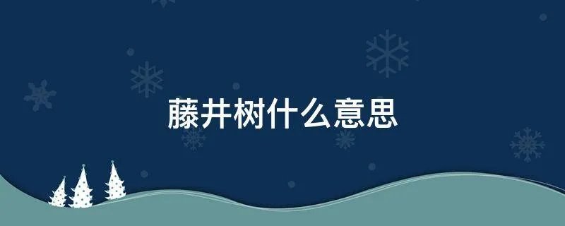 藤井树什么意思