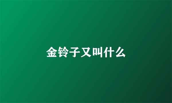 金铃子又叫什么