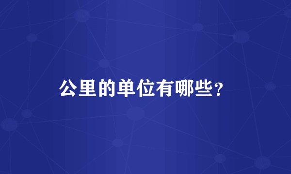 公里的单位有哪些？