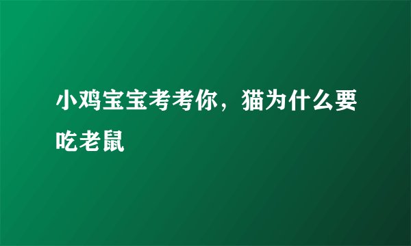 小鸡宝宝考考你，猫为什么要吃老鼠