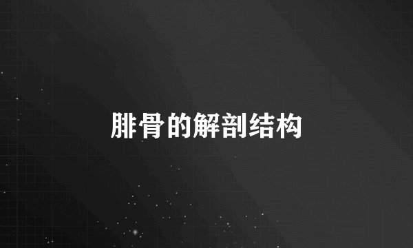腓骨的解剖结构
