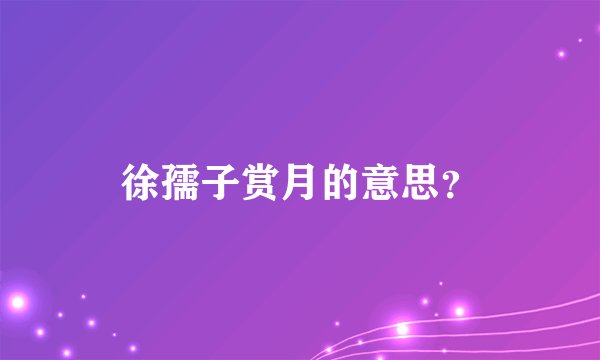徐孺子赏月的意思？