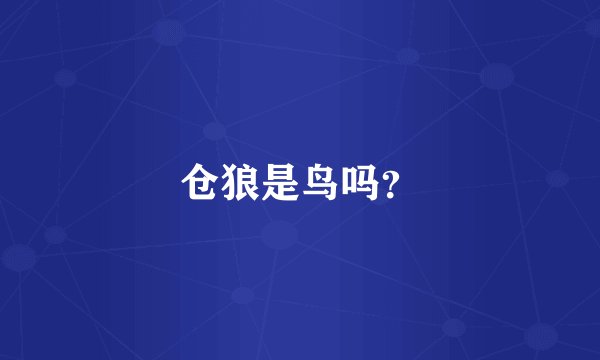 仓狼是鸟吗？