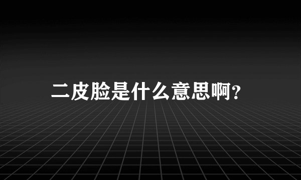 二皮脸是什么意思啊？