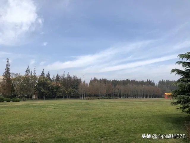 现在会有人劝年轻人凡事要趁早，你怎么看