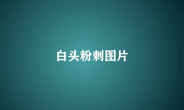 白头粉刺图片