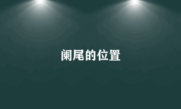 阑尾的位置