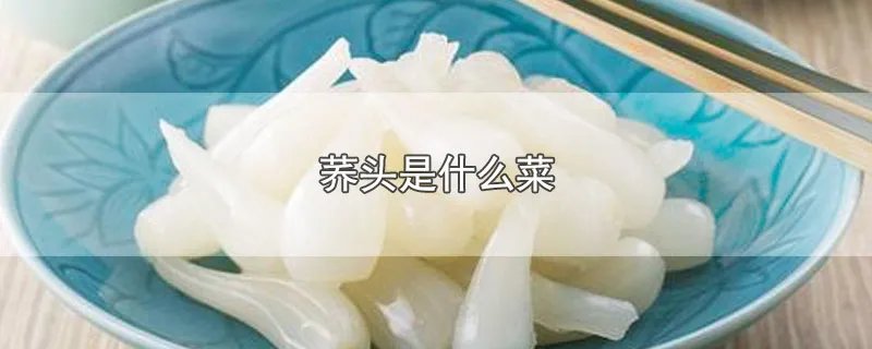 荞头是什么菜
