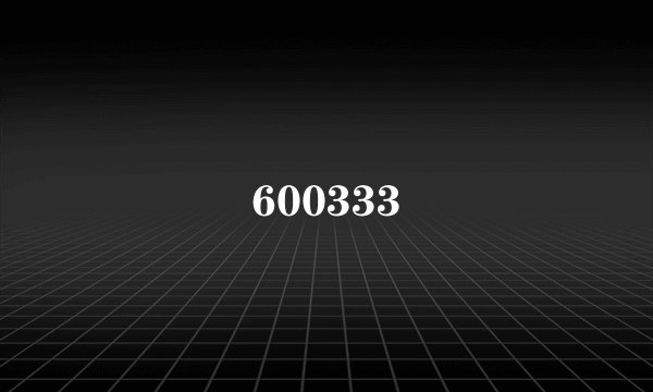 600333