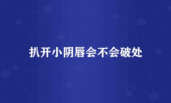 扒开小阴唇会不会破处