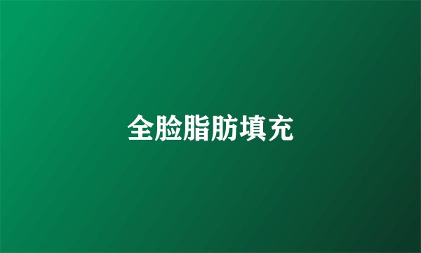 全脸脂肪填充