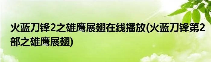 火蓝刀锋2之雄鹰展翅在线播放(火蓝刀锋第2部之雄鹰展翅)