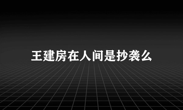 王建房在人间是抄袭么