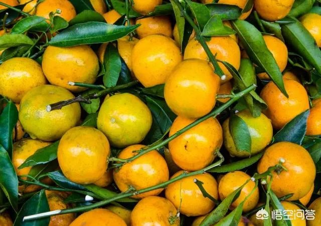 越南岘港这个地方怎么样？有哪些地方值得一去？