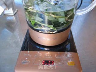鱼腥草茶