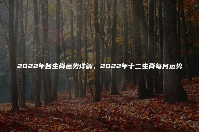 2022年各生肖运势详解,2022年十二生肖每月运势