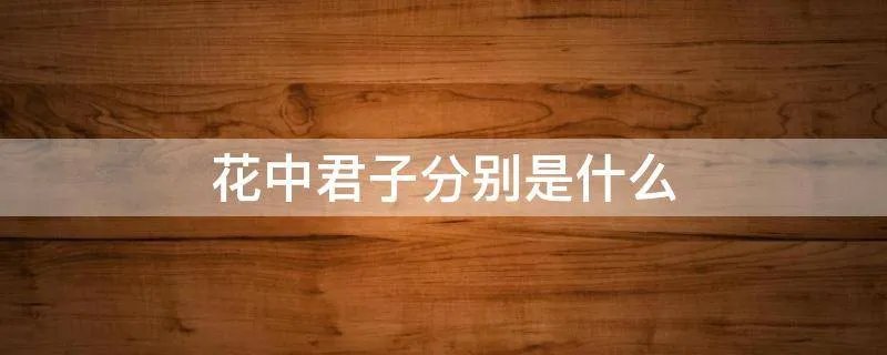 花中君子分别是什么