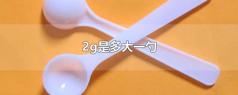 2g是多大一勺