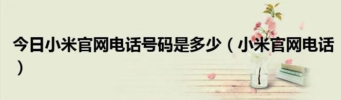 今日小米官网电话号码是多少（小米官网电话）