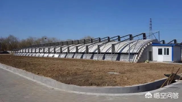 什么是设施农业?