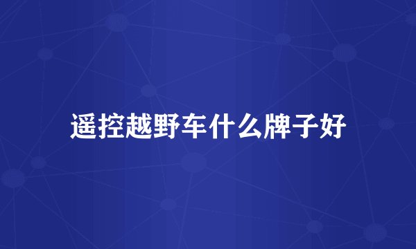 遥控越野车什么牌子好