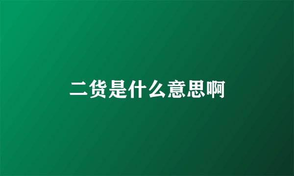 二货是什么意思啊