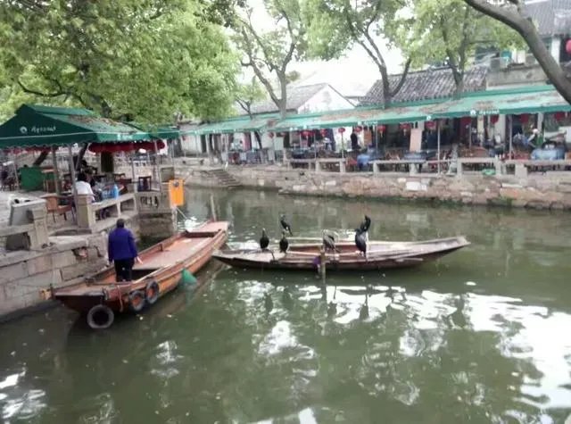 同里古镇好玩么?