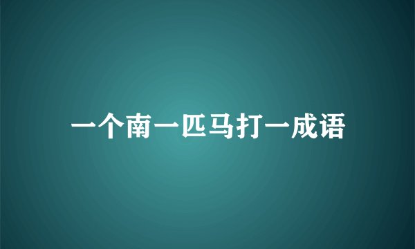 一个南一匹马打一成语