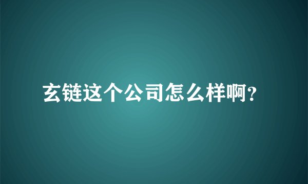 玄链这个公司怎么样啊？