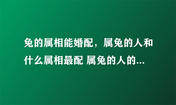 兔的属相能婚配，属兔的人和什么属相最配 属兔的人的属相婚配