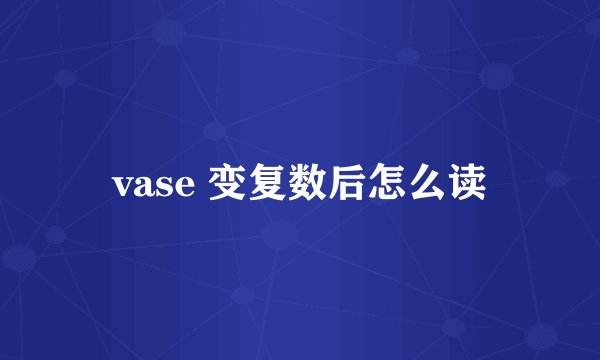 vase 变复数后怎么读