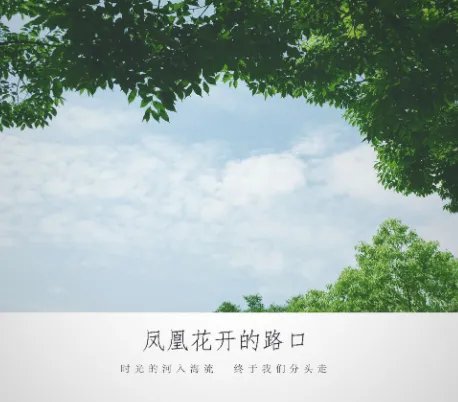 时光的河入海流终于我们分头走,什么歌?