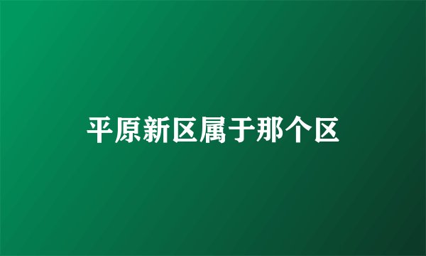 平原新区属于那个区