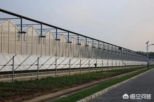 什么是设施农业?