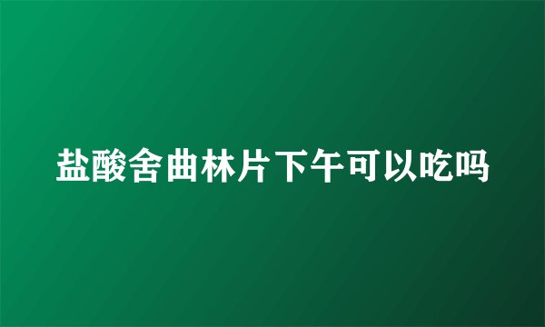 盐酸舍曲林片下午可以吃吗