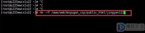 在linux怎么删除文件夹