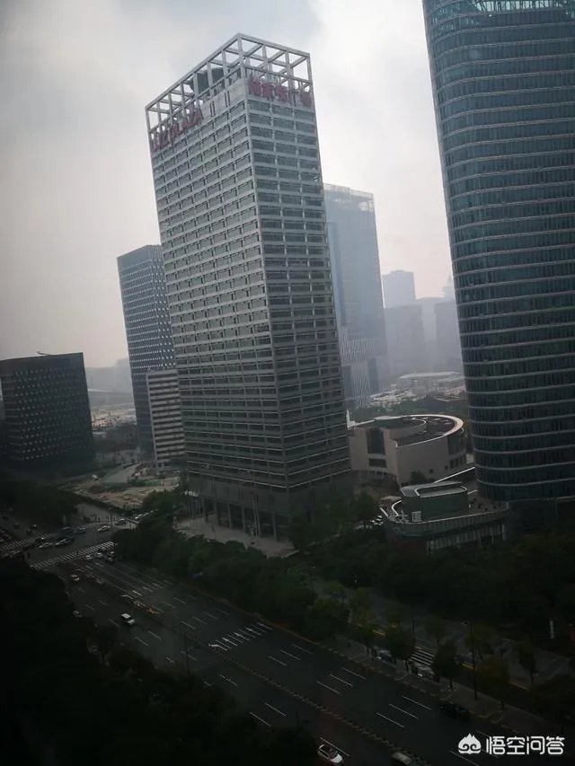 上海纽约大学,怎样?