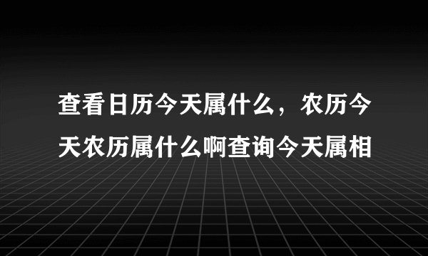查看日历今天属什么，农历今天农历属什么啊查询今天属相