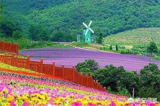 花园口登录