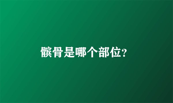 髌骨是哪个部位？
