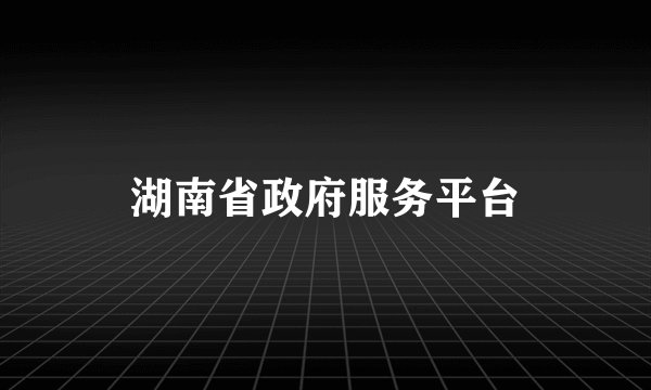 湖南省政府服务平台